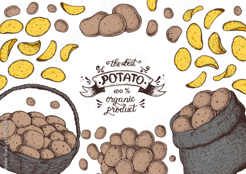 Potato chips illustration. Potato crisps vector illustration. Box and bag of potatoes. Rustic potatoes and chips hand drawn. Packaging design.