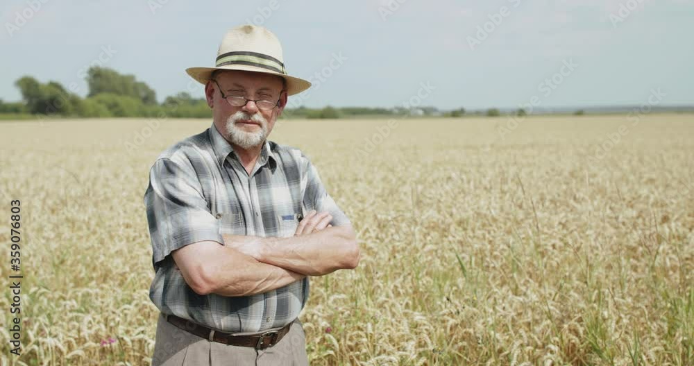 Portrait of happy senior farmer and glasses with crossed hands looks at camera Portrait of happy senior farmer and glasses with crossed hands looks at camera