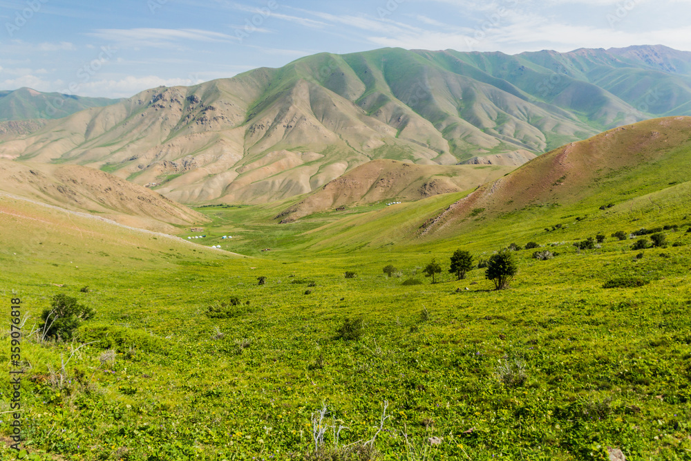 Green valley near Song Kul lake, Kyrgyzstan