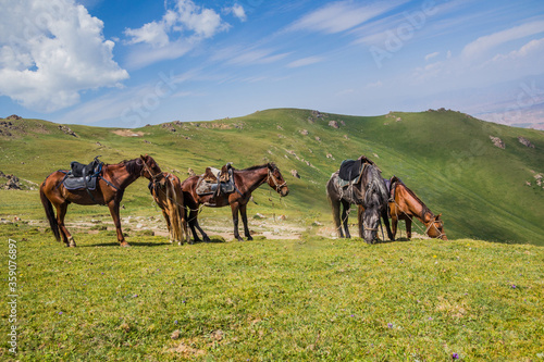 Horses on a meadow near Song Kul lake, Kyrgyzstan © Matyas Rehak