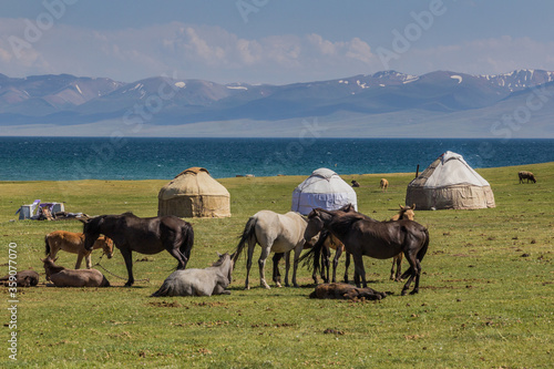 Fototapeta Naklejka Na Ścianę i Meble -  Yurts and horses near Song Kul lake, Kyrgyzstan