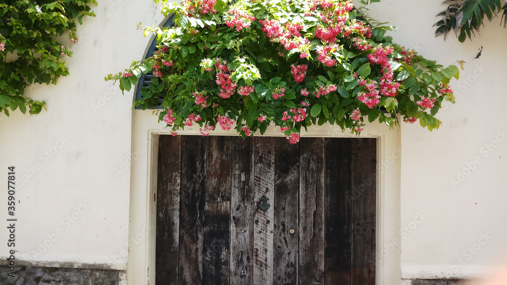 Fototapeta premium Natural flower decor for domestic wall entrance.External Wall decoration by natural flower and leaf.Rustic and flower combination for door entrance.Door Entrance.