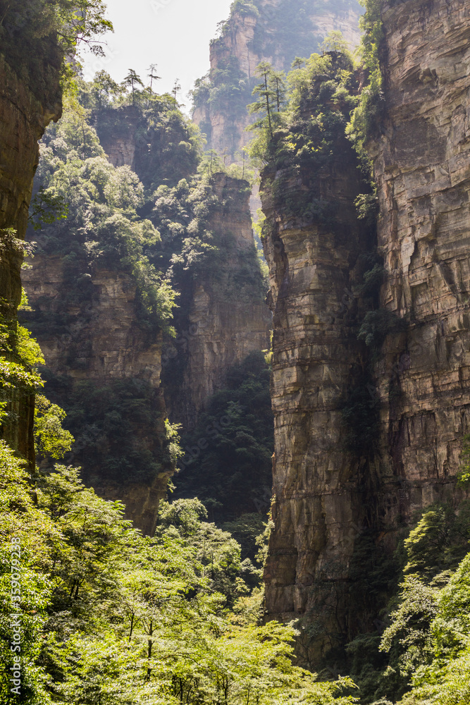 Rock cliffs above the Golden Whip stream in Zhangjiajie National Forest Park in Hunan province, China