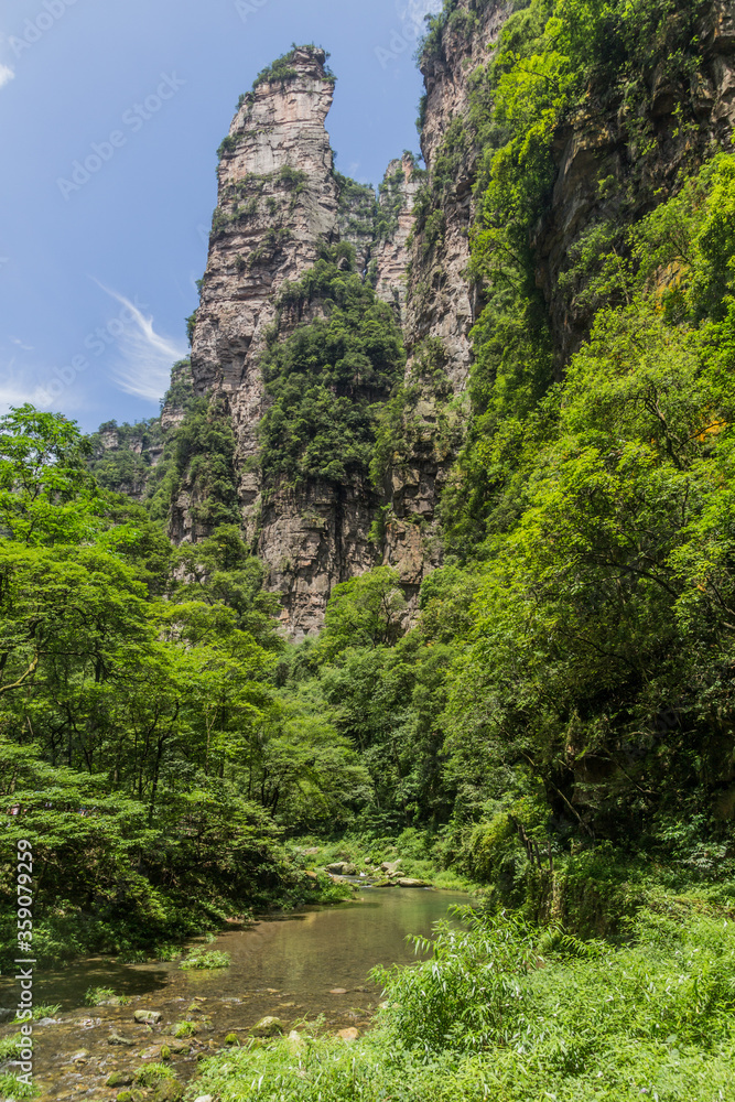 Rock cliffs above the Golden Whip stream in Zhangjiajie National Forest Park in Hunan province, China