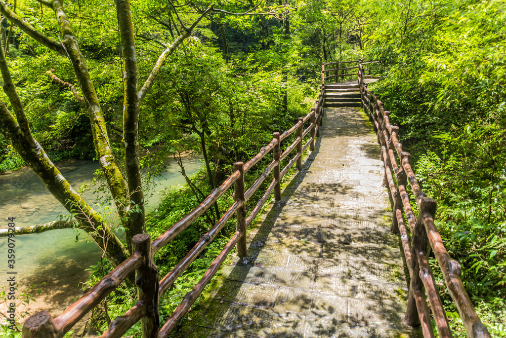 Obraz premium Hiking path along the Golden Whip stream in Zhangjiajie National Forest Park in Hunan province, China
