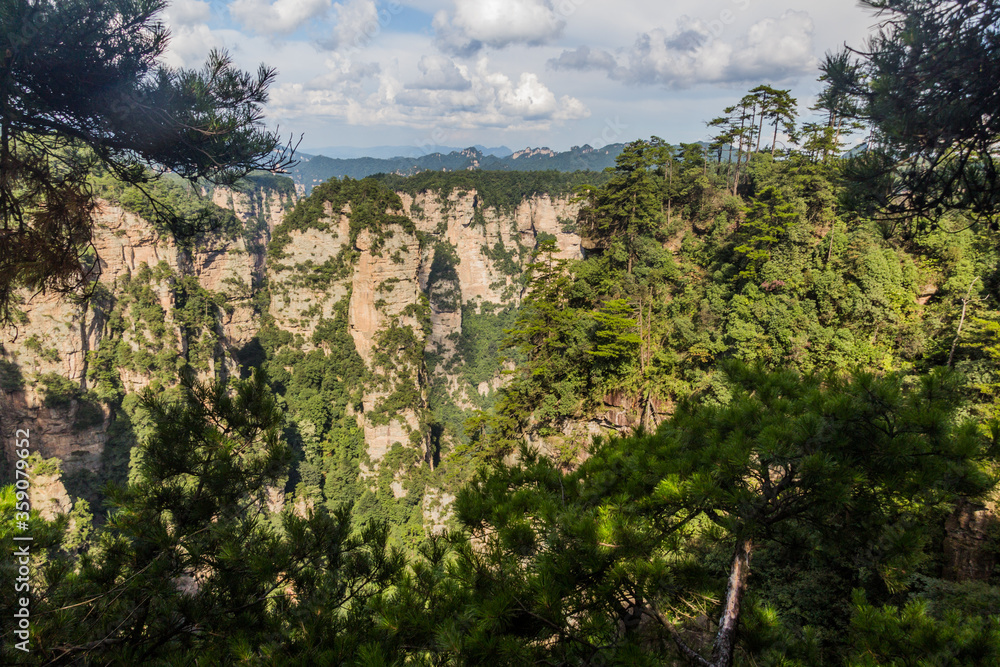 Rocky cliffs in Zhangjiajie National Forest Park in Hunan province, China