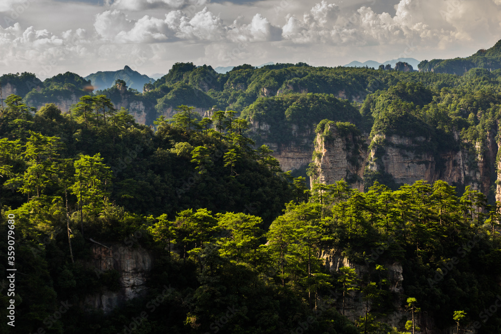 Obraz premium Landscape of Zhangjiajie National Forest Park in Hunan province, China