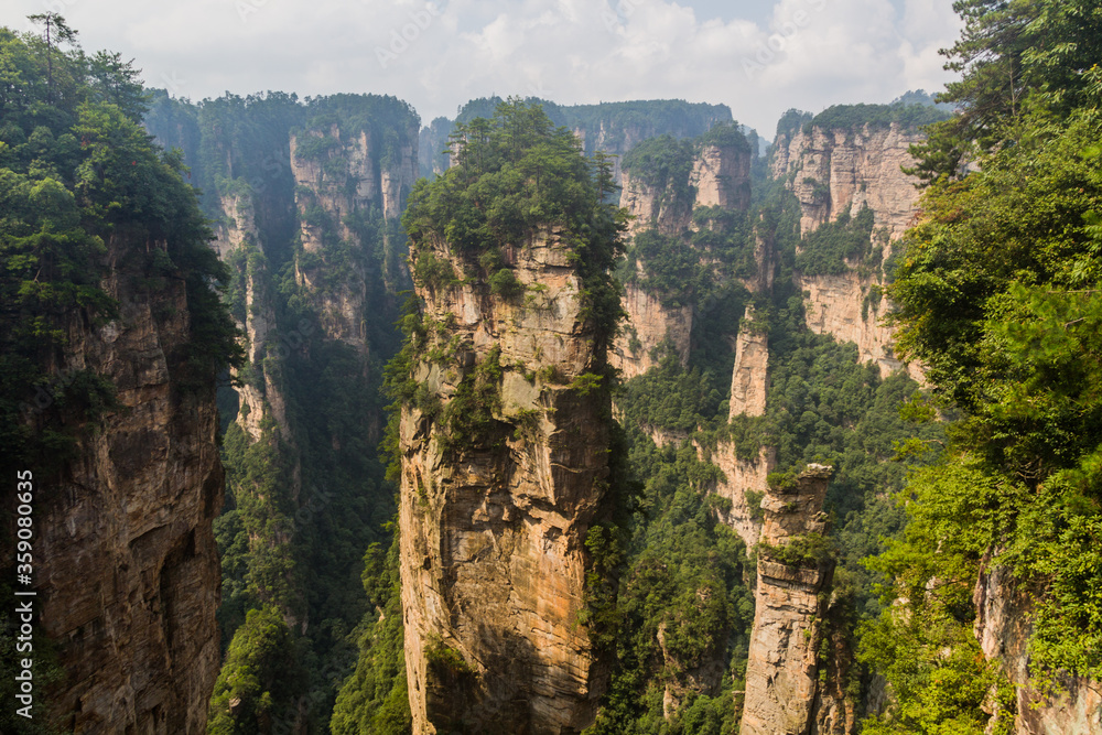 Fototapeta premium Rocky landscape of Wulingyuan Scenic and Historic Interest Area in Zhangjiajie National Forest Park in Hunan province, China