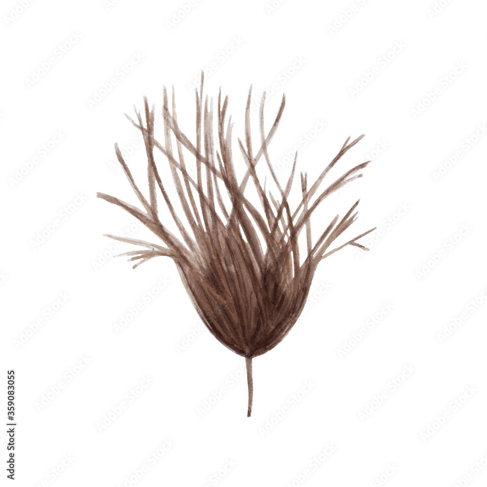 Fototapeta premium Exotic dried leaves in watercolor