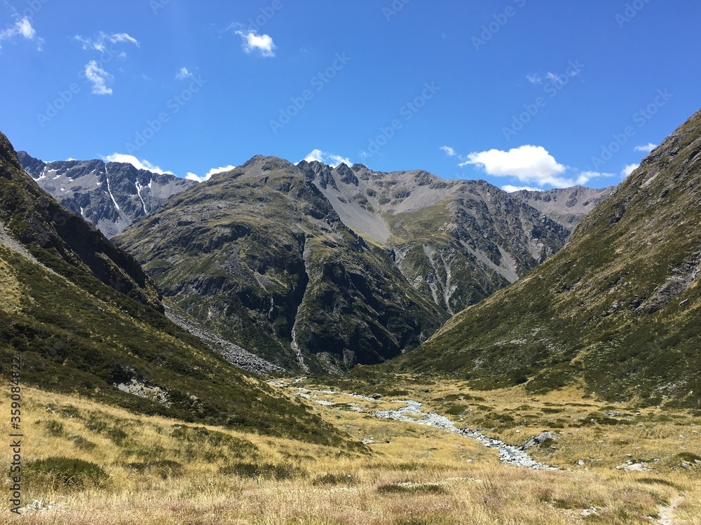 waiau pass valley view gold