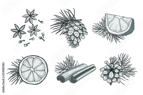 Collection of cones, cloves, oranges and cinnamone isolated on white. Vector illustration. photo