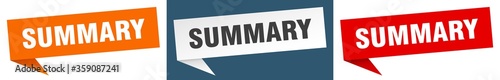 summary banner. summary speech bubble label set. summary sign