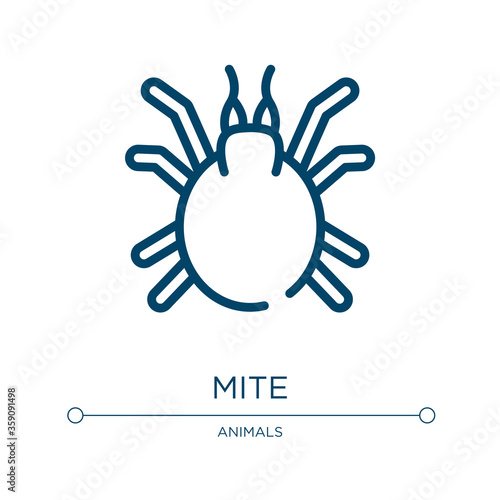 Mite icon. Linear vector illustration from insects collection. Outline mite icon vector. Thin line symbol for use on web and mobile apps, logo, print media.
