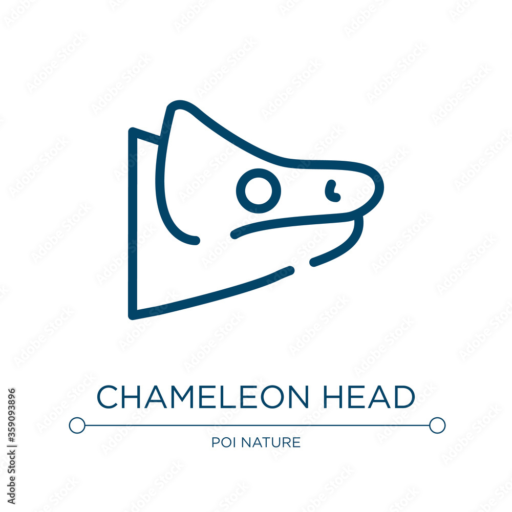 Chameleon head icon. Linear vector illustration from fauna collection. Outline chameleon head icon vector. Thin line symbol for use on web and mobile apps, logo, print media. - obrazy, fototapety, plakaty 