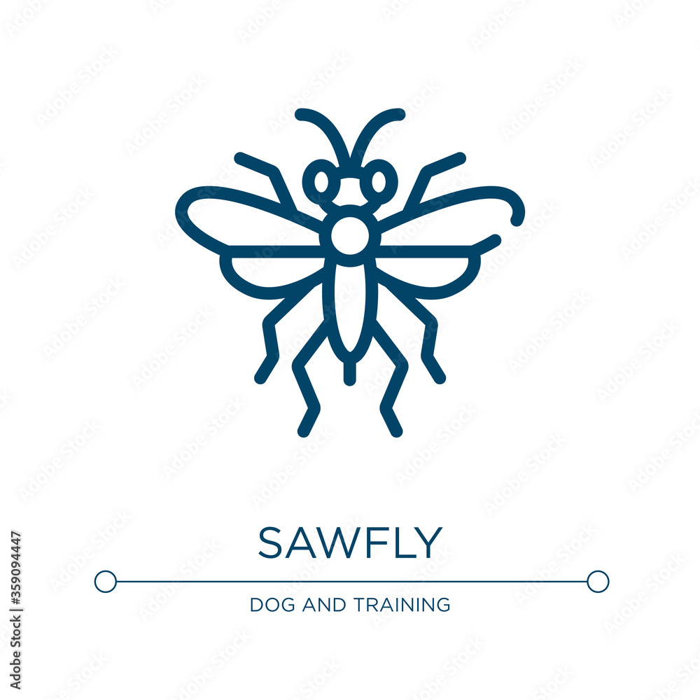 Sawfly icon. Linear vector illustration from insects collection. Outline sawfly icon vector. Thin line symbol for use on web and mobile apps, logo, print media.