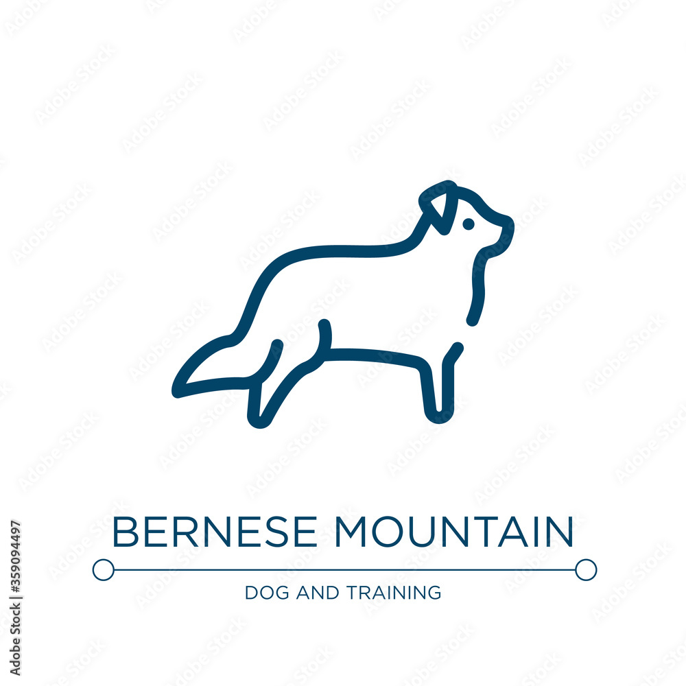Bernese mountain icon. Linear vector illustration from dog breeds fullbody collection. Outline bernese mountain icon vector. Thin line symbol for use on web and mobile apps, logo, print media.