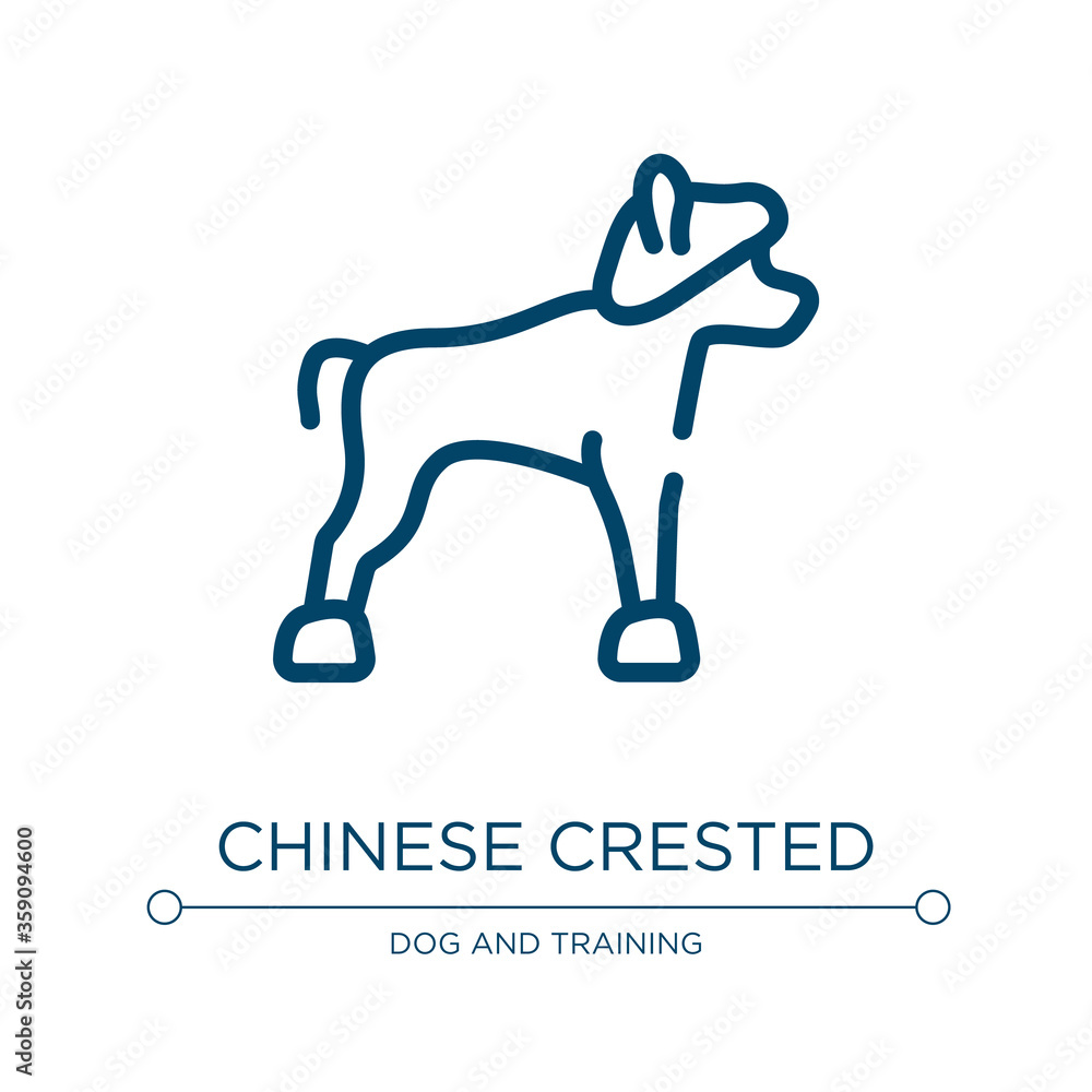 Chinese crested icon. Linear vector illustration from dog breeds fullbody collection. Outline chinese crested icon vector. Thin line symbol for use on web and mobile apps, logo, print media.