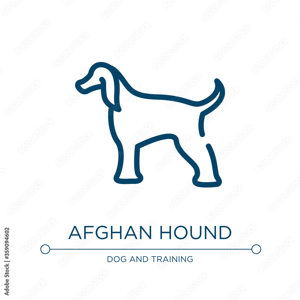 Afghan hound icon. Linear vector illustration from dog breeds fullbody collection. Outline afghan hound icon vector. Thin line symbol for use on web and mobile apps, logo, print media.