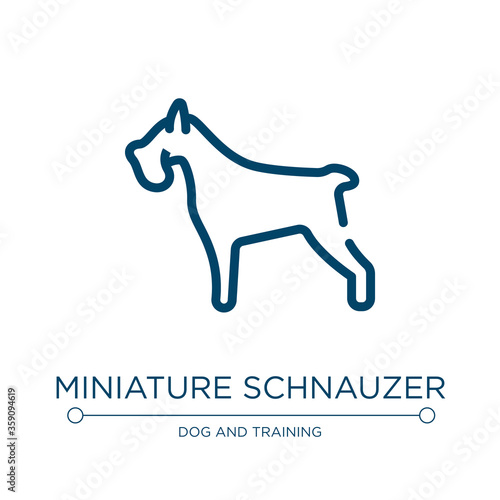 Miniature schnauzer icon. Linear vector illustration from dog breeds fullbody collection. Outline miniature schnauzer icon vector. Thin line symbol for use on web and mobile apps, logo, print media.