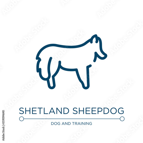 Shetland sheepdog icon. Linear vector illustration from dog breeds heads collection. Outline shetland sheepdog icon vector. Thin line symbol for use on web and mobile apps  logo  print media.