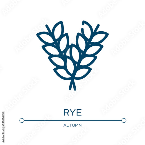 Rye icon. Linear vector illustration from autumn collection. Outline rye icon vector. Thin line symbol for use on web and mobile apps, logo, print media.