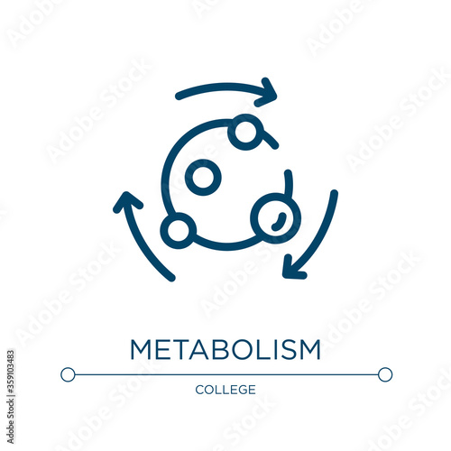 Metabolism icon. Linear vector illustration from biology collection. Outline metabolism icon vector. Thin line symbol for use on web and mobile apps, logo, print media.