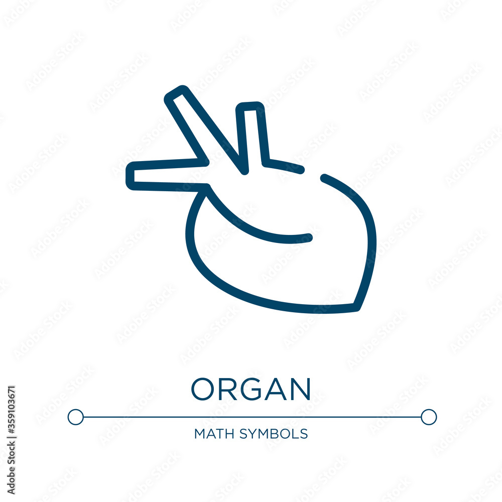 Organ icon. Linear vector illustration from biology technology collection. Outline organ icon vector. Thin line symbol for use on web and mobile apps, logo, print media. Organ icon. Linear vector illustration from biology technology collection. Outline organ icon vector. Thin line symbol for use on web and mobile apps, logo, print media.