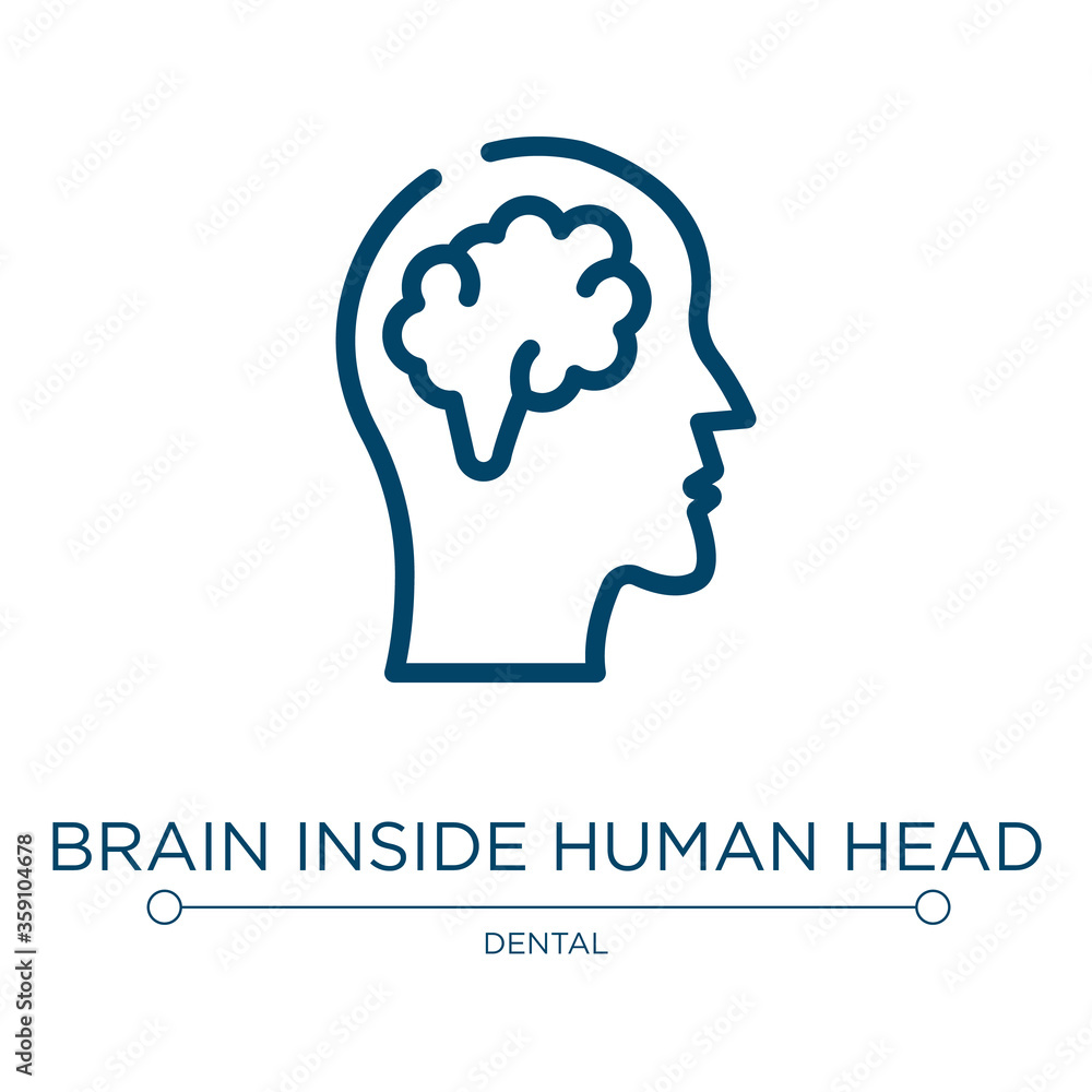 Brain inside human head icon. Linear vector illustration from body parts collection. Outline brain inside human head icon vector. Thin line symbol for use on web and mobile apps, logo, print media.