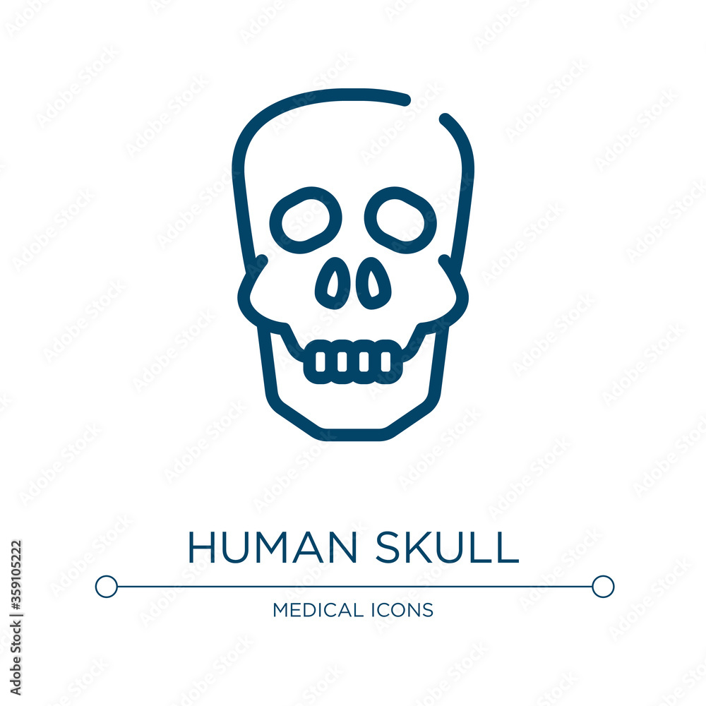 Human skull icon. Linear vector illustration from in the hospital collection. Outline human skull icon vector. Thin line symbol for use on web and mobile apps, logo, print media. Human skull icon. Linear vector illustration from in the hospital collection. Outline human skull icon vector. Thin line symbol for use on web and mobile apps, logo, print media.