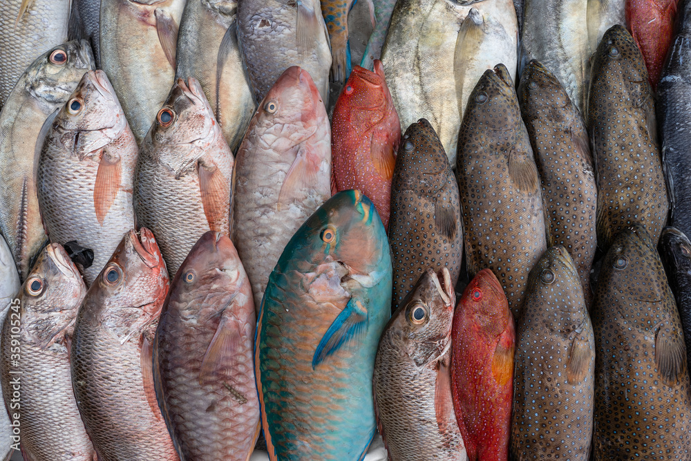 Fresh sea fish for sell at the street food market in Kota Kinabalu, Borneo, Malaysia, close up seafood Fresh sea fish for sell at the street food market in Kota Kinabalu, Borneo, Malaysia, close up seafood