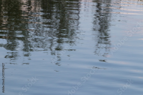 Blurred reflection of dark trees on the water surface