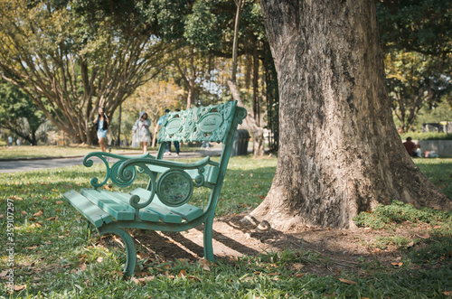 Green chair under the tree in the park.