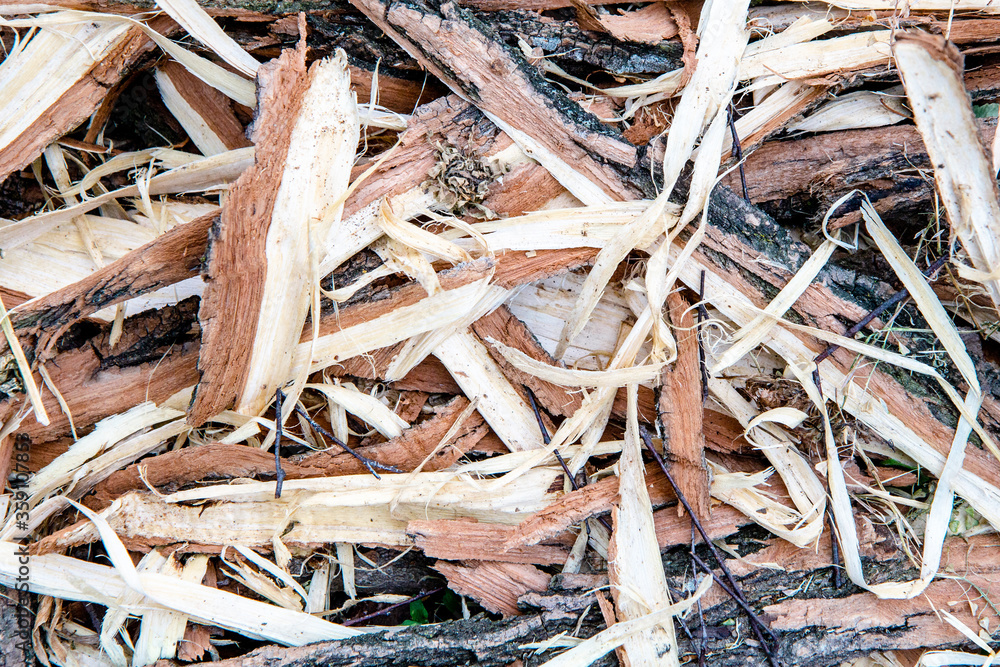 Colorful wood shavings background. Top view.  Different big sawdust