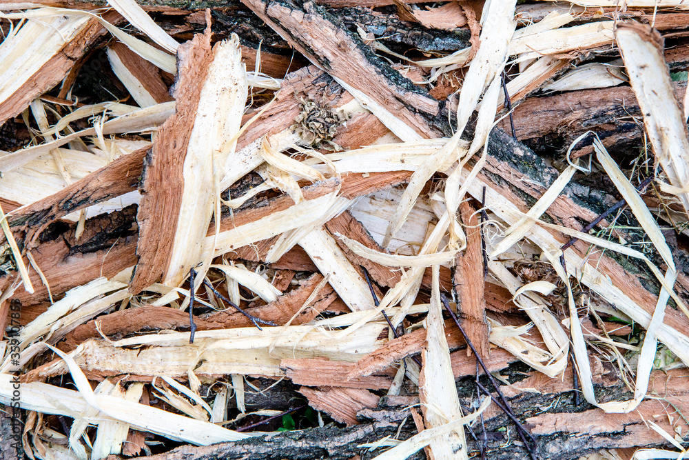 Colorful wood shavings background. Top view. Different big sawdust Colorful wood shavings background. Top view. Different big sawdust