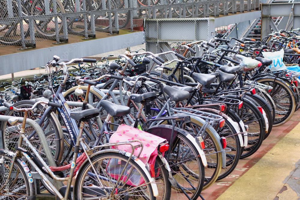 bicycles in amsterdam