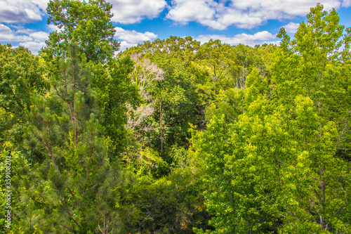 Nature along a 65 mile paved walking and hiking trail in north Georgia