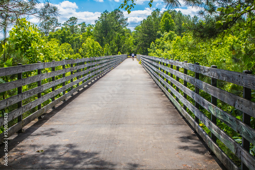 Nature along a 65 mile paved walking and hiking trail in north Georgia Silver Comet Trail