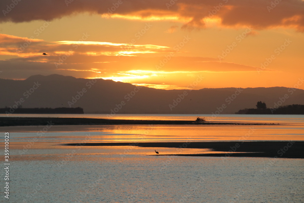 sunset over the harbour with silhouette of sea birds and mountains in the distance