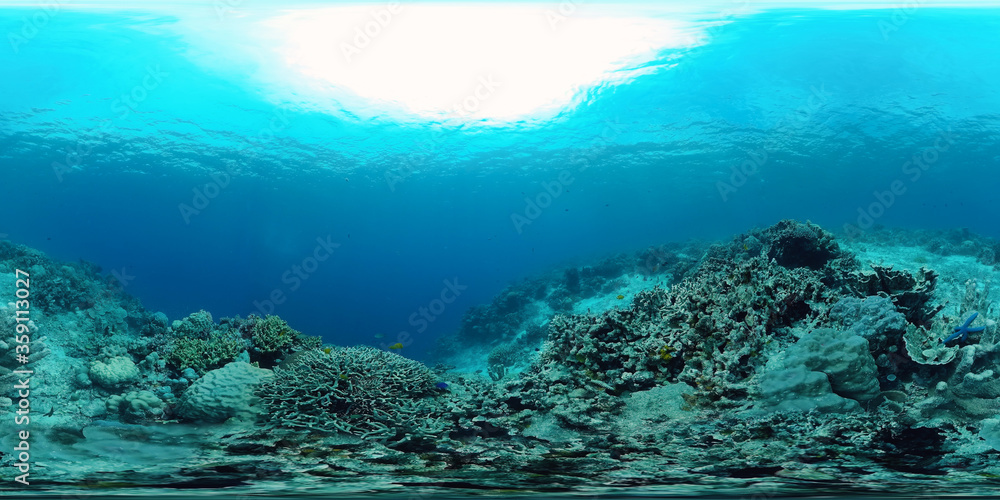 Tropical fishes and coral reef underwater. Hard and soft corals, underwater landscape. Travel vacation concept