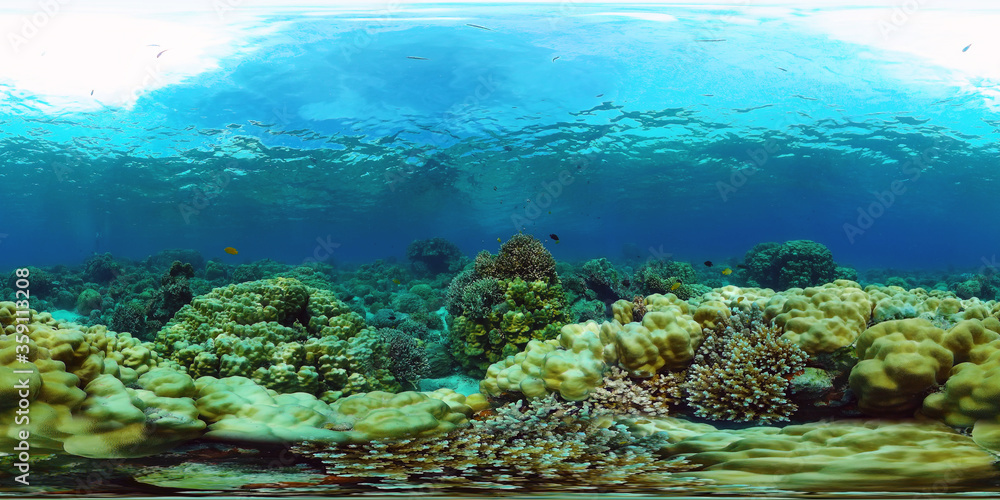 Coral reef underwater with fishes and marine life. Coral reef and tropical fish. Panglao, Philippines.
