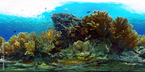 Fototapeta Naklejka Na Ścianę i Meble -  Underwater fish reef marine 360VR. Tropical colorful underwater seascape with coral reef. Panglao, Philippines.