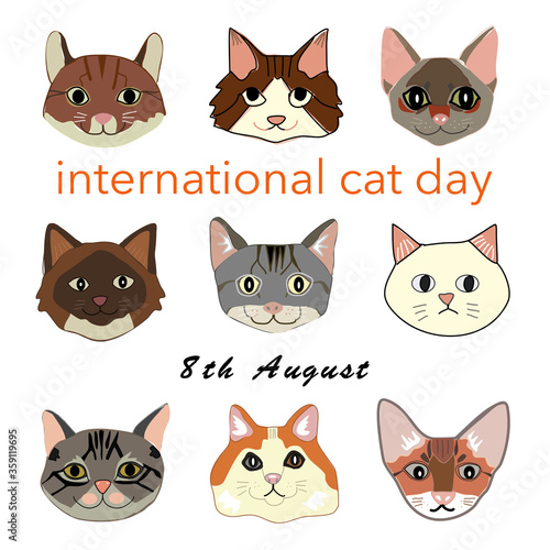 international cat day hand drawn vector with 9 cat faces on white background with word international cat day 8th august 