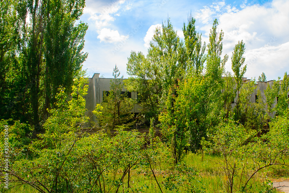 Abandoned building surrounded by green trees in Pripyat, a ghost town in northern Ukraine, evacuated the day after the Chernobyl disaster on April 26, 1986 Abandoned building surrounded by green trees in Pripyat, a ghost town in northern Ukraine, evacuated the day after the Chernobyl disaster on April 26, 1986