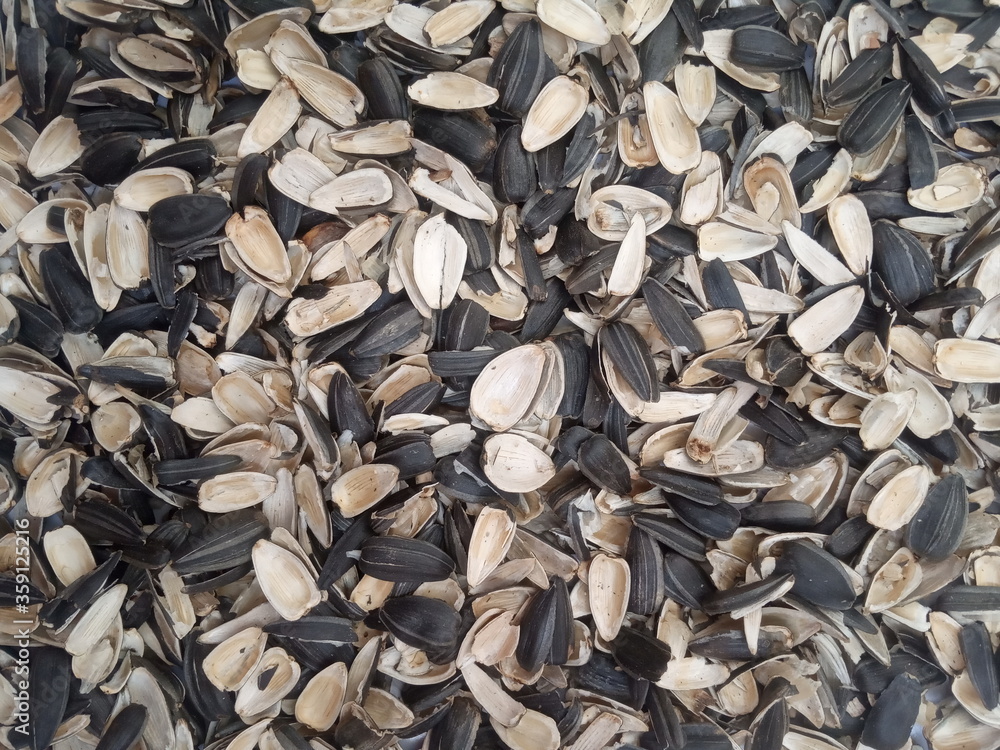 husk of sunflower seeds background, seed cleaning