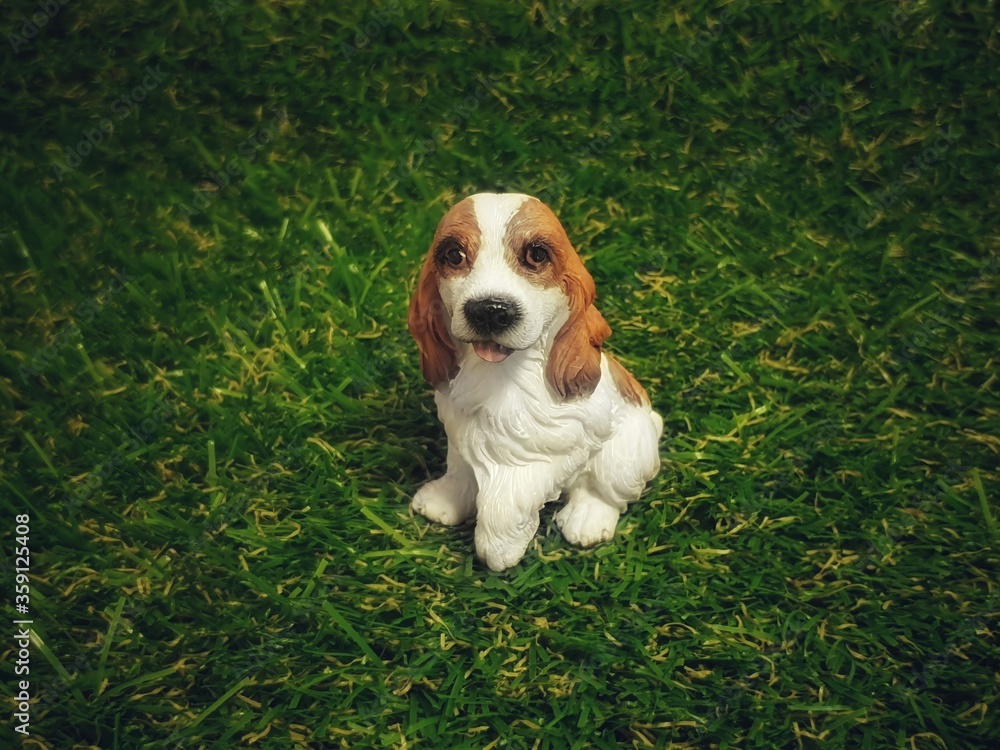beagle puppy on grass.dog model isolated on green grass background with copy space
