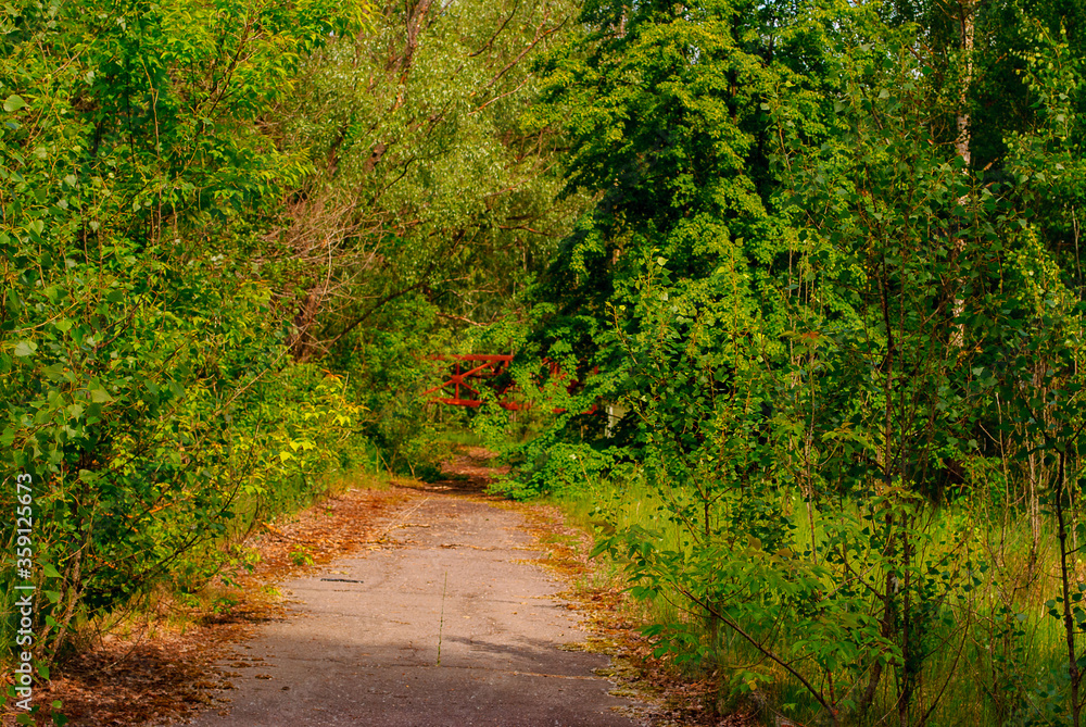 Nature in Pripyat, a ghost town in northern Ukraine, evacuated the day after the Chernobyl disaster on April 26, 1986 Nature in Pripyat, a ghost town in northern Ukraine, evacuated the day after the Chernobyl disaster on April 26, 1986