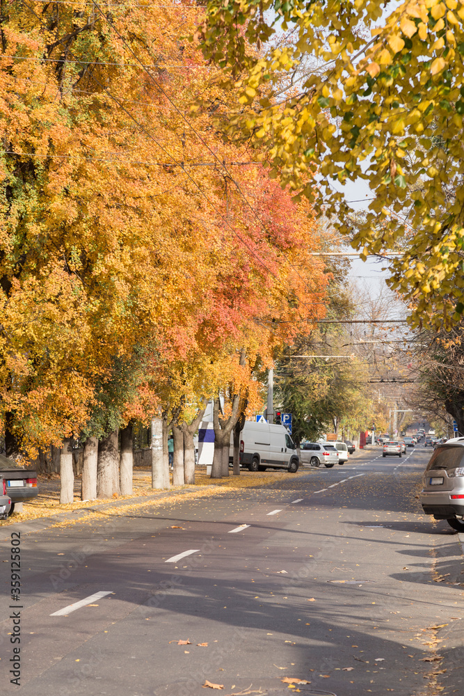 Beautiful city autumn landscape on a sunny day.