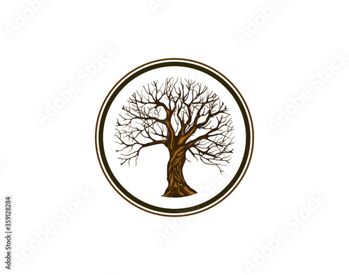 Tree logo design with circular frames, vector vintage style