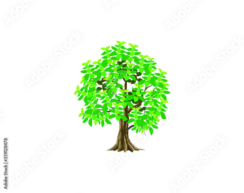Teak tree vector illustration