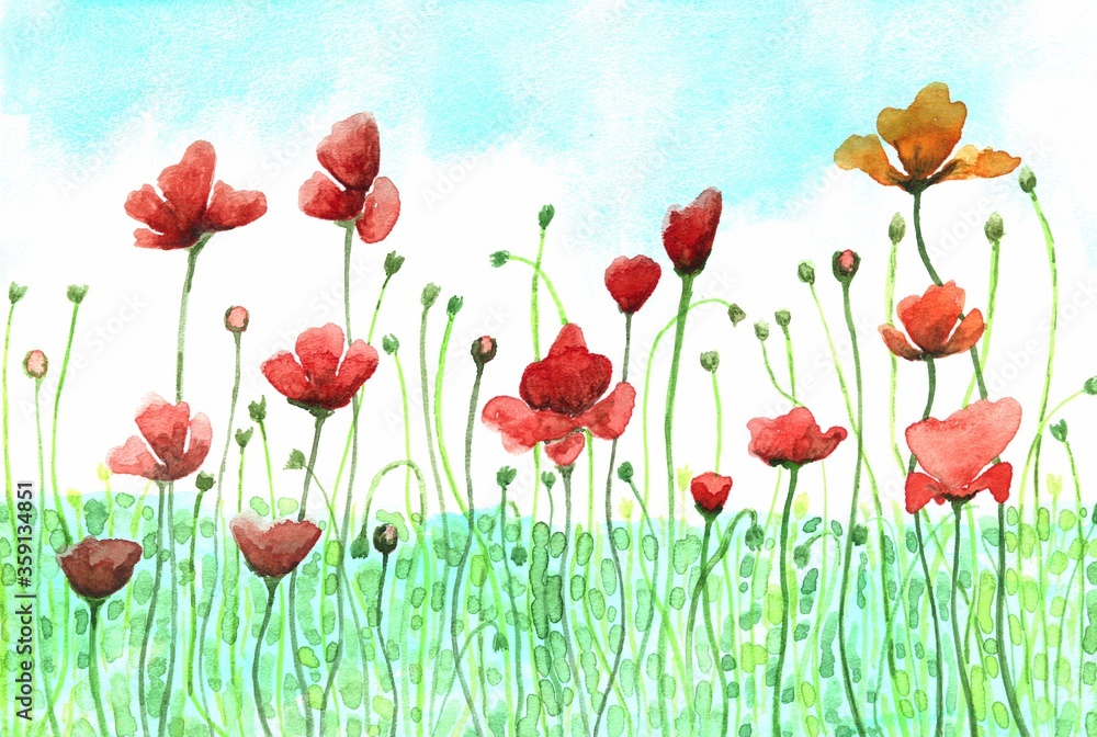Fototapeta beautiful watercolor illustration of red poppies and unopened buds on long stalks against a background of blue sky and green meadow. Floral desktop Wallpaper